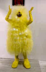 Костюм Фьек цветной